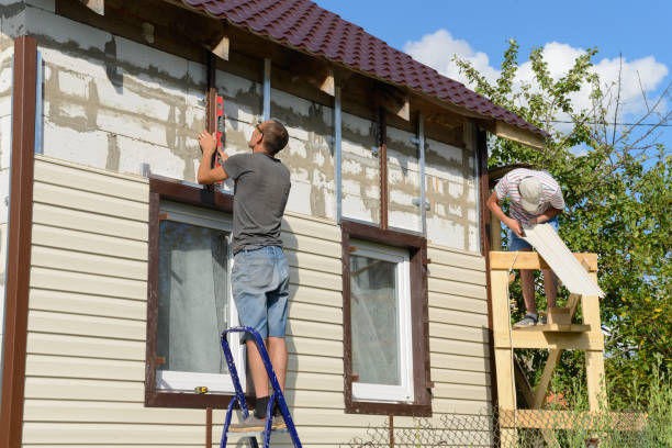 Best Historical Building Siding Restoration  in Nogales, AZ